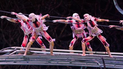 Le cirque du soleil emploie 5000 salariés
 (Kobal/The Picture Desk/AFP)