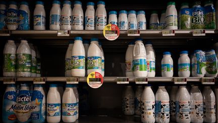 Des bouteilles de lait dans le rayon d'un supermarché de Bordeaux, en décembre 2022. (PHILIPPE LOPEZ / AFP)