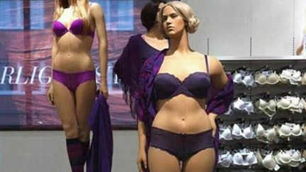 Cette photo, cens&eacute;e montrer des mannequins au physique r&eacute;aliste, a &eacute;t&eacute; post&eacute;e sur la page Facebook "Women's rights news", le 12 mars 2013.&nbsp; (FACEBOOK )