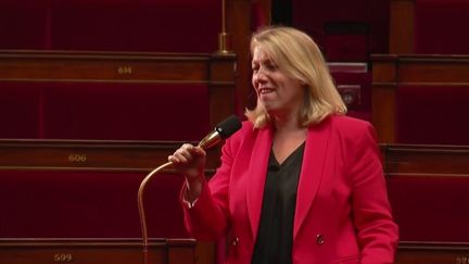 Législatives 2022 : les nouveaux députés font leur entrée à l'Assemblée nationale