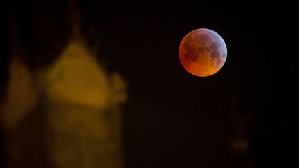 Le satellite naturel de la Terre&nbsp;photographié lors de l'éclipse totale de Lune, à Tours (Indre-et-Loire), le 21 janvier 2019. (GUILLAUME SOUVANT / AFP)