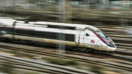 Un TGV arrive en gare de Lille (Nord), le 29 mars 2018. (PHILIPPE HUGUEN / AFP)