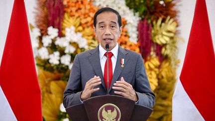 Le président indonésien Joko Widodo, le 29 avril 2022, au palais présidentiel de Bogor.&nbsp; (HANDOUT / PRESIDENTIAL PALACE / AFP)