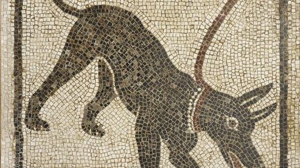 Mosaïque représentant un chien de garde, placée dans la Maison d'Orphée à Pompéi.
 (Soprintentendenza Speciale per i Beni Archeologici di Napoli e Pompei / Trustees of the British Museum)