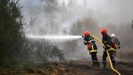 Des pompiers luttent contre l'incendie géant de Landiras qui a pris en juillet 2022 en Gironde. (ST?PHANIE PARA / MAXPPP)