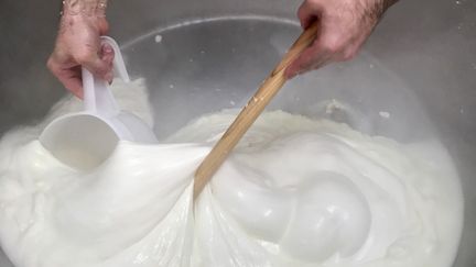 Une mozzarella artisanale dans les règles du lait de Bufflone… venant d’Auvergne&nbsp;! (Laurent Mariotte / Radio France)