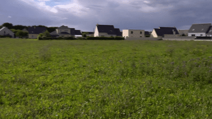 Comment attirer de nouvelles familles dans des communes qui ont perdu des habitants ? Dans la Manche, à Saint-Vaast-la-Hougue, le maire a décidé de proposer des terrains à bâtir à prix cassés et ça marche.