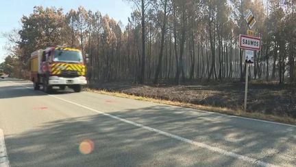 Incendie en Gironde : le feu est désormais fixé, et les habitants de Saumos regagnent leurs maisons