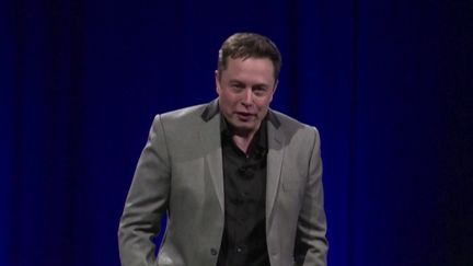 Allemagne : Elon Musk apporte son soutien à l’AfD (Franceinfo)