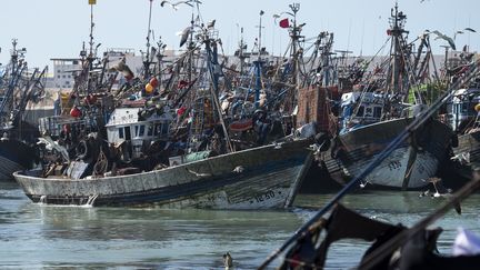 Bateaux de pêche dans le port de Laayoun, au Sahara occidental. (FADEL SENNA / AFP)