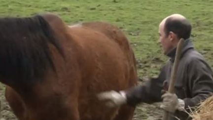 Agriculteurs : avoir deux professions pour s'en sortir