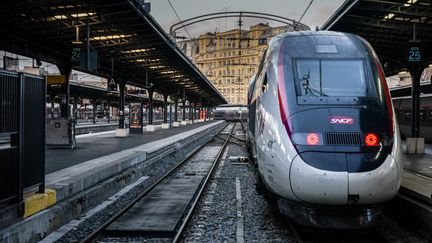 Un train en gare de l'Est à Paris le 13 décembre 2019 pendant la grève contre la réforme des retraites. (MARTIN BUREAU / AFP)