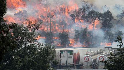 L'incendie de for&ecirc;t, qui s'est d&eacute;clench&eacute; le dimanche 22 juillet 2012 dans le nord-est de l'Espagne, s'approche des camions de pompiers mobilis&eacute;s : 300 sapeurs-pompiers, trois canadairs et deux avions de type Dash ont &eacute;t&eacute; r&eacute;quisitionn&eacute;s. (JORDI RIBOT PUNTI / AFP)