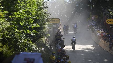 Les coureurs du Tour de France 2022 de passage dans la Planche des Belles Filles, vendredi 8 juillet. (MANTEY STEPHANE / BELGA MAG via AFP)