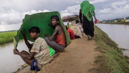 Des Rohingyas, à Palong Khali (Bangladesh), le 17 octobre 2017. (ANADOLU AGENCY / AFP)