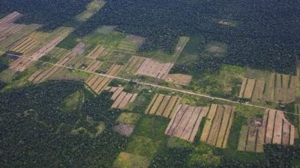 Vue aérienne de la déforestation en Amazonie.  (AFP)