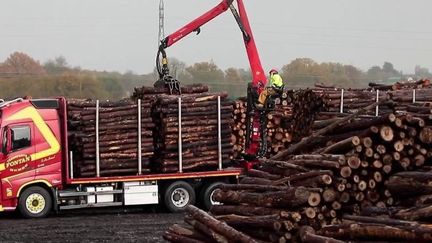 Des meubles construits à partir de bois brûlé : c'est la bonne idée d'un fabricant vendéen, qui va récupérer plus de 100 tonnes de bois par semaine, en provenance notamment des forêts des Landes. (France 2)