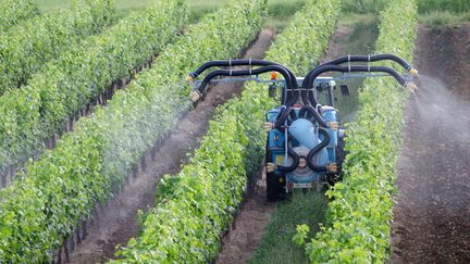 A machine sprays pesticides in a vineyard in France.  (GETTY IMAGES)