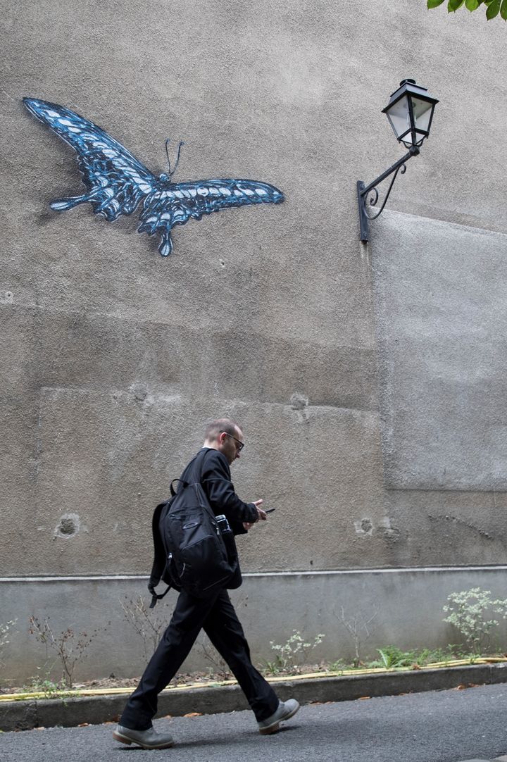 Une oeuvre du graffeur C215 sur les murs de l'hôpital psychiatrique Sainte-Anne à Paris (THOMAS SAMSON / AFP)