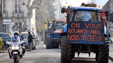 Une manifestation d'agriculteurs à Agen (Lot-et-Garonne), le 23 janvier 2017. (MEHDI FEDOUACH / AFP)