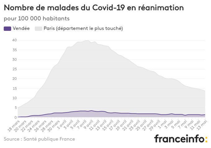 Nombre de malades du Covid-19 en réanimation pour 100 000 habitants. (FRANCEINFO)