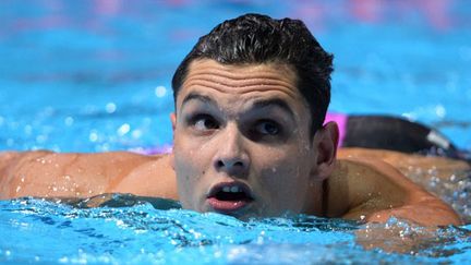 Florent Manaudou sera, avec Fédérick Bousquet, l'une des chances de médailles françaises en finale du 50m papillon