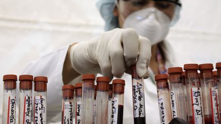 Une infirmi&egrave;re range des tubes &agrave; essai contenant du sang, dans le cadre d'un d&eacute;pistage du sida, le 1er d&eacute;cembre 2011 &agrave; San Salvador (Salvador). (LUIS GALDAMEZ / REUTERS)