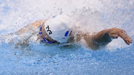 Florent Manaudou conquérant sur 50m nage libre (STEPHANE KEMPINAIRE / STEPHANE KEMPINAIRE)