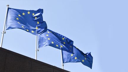 Drapeaux européens à Bruxelles (juin 2018)
 (Jean-Luc Flémal / Belga Mag / Belga / AFP)