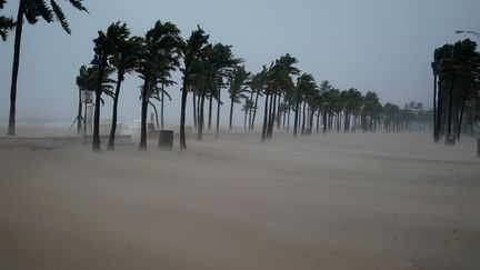 Le sable recouvre un boulevard de Fort Lauderdale en Floride (Etats-Unis), après le passage de l'ouragan Irma, le 10 septembre 2017. (CARLO ALLEGRI / REUTERS)