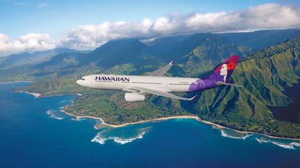 Un adolescent dit avoir pass&eacute; cinq heures et demie dans le train d'atterrissage d'un avion de la compagnie Hawaiian Airlines, dimanche 20 avril 2014. (DR)