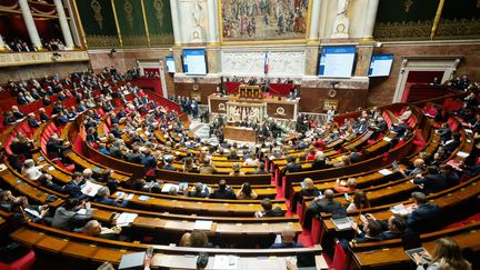 L'hémicycle de l'Assemblée nationale lors des questions au gouvernement, le 9 avril 2024. (MARTIN NODA / HANS LUCAS / AFP)