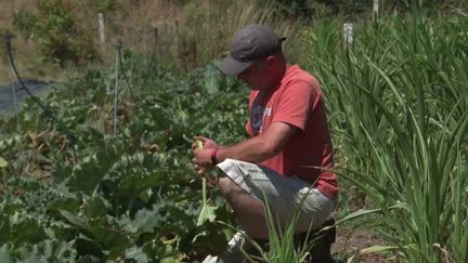 Sécheresse : les agriculteurs particulièrement touchés par le manque d’eau