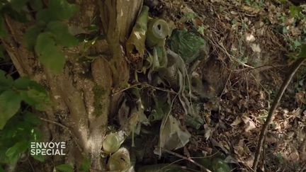 "Les arbres ont poussé dans le plastique" : dans la forêt près de Vittel, l'immense décharge de Nestlé (ENVOYE SPECIAL / FRANCE 2)