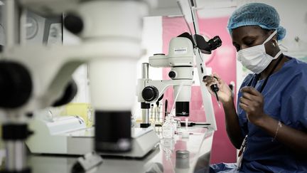 Une femme travaille dans un laboratoire de biologie reproductive de l'hôpital Tenon, à Paris, le 24 septembre 2019. (PHILIPPE LOPEZ / AFP)