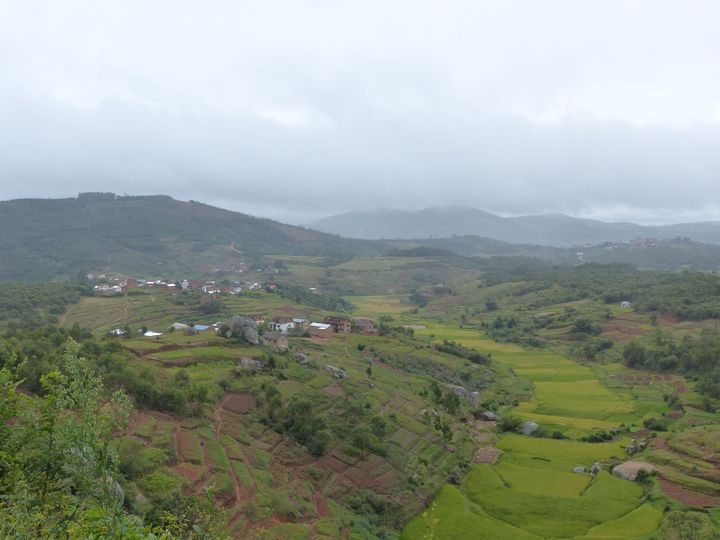 Au milieu des rizières, à une vingtaine de kilomètres&nbsp;d'Antananarivo&nbsp;en mars 2019... (FTV - Laurent Ribadeau Dumas)