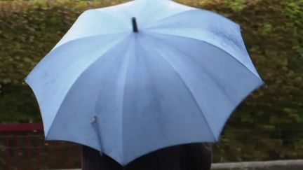 En seulement 24 heures, il est tombé l'équivalent d'un mois de pluie à Mouroux, en Seine-et-Marne, jeudi 26 septembre. Plusieurs départements sont touchés par de fortes précipitations dues à une "rivière atmosphérique", un phénomène favorisé par le changement climatique. (FRANCEINFO)