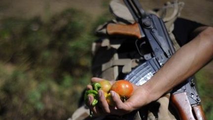 Dans la région de Lattaquié, en Syrie, en septembre 2013. Ici, des hommes en armes cultivent la terre pour nourrir leurs proches. (Atilgan Agence Ozdil / Anadolu)