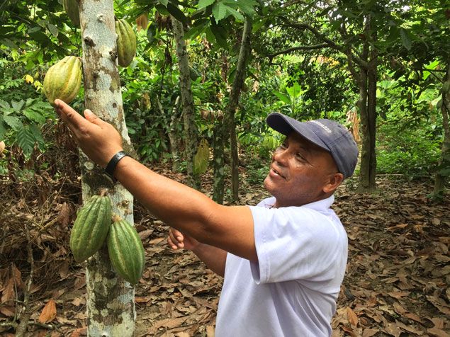 &nbsp; (Un producteur de cacao d’Atacames © Eric Samson / RF)