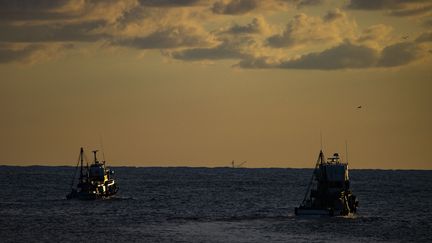 Des bateaux de pêche à Sinop (Turquie), le 1er septembre 2021. (ERCIN ERTURK / ANADOLU AGENCY / AFP)