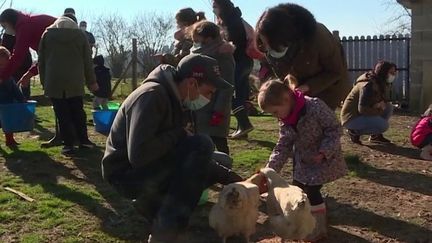 Agriculture : privées de Salon, les fermes ouvrent leurs portes au public (France 3)