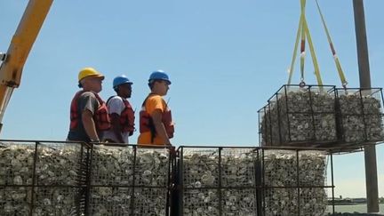 Des huitres vont être jetées dans la baie de New York.&nbsp; (FRANCE 2)