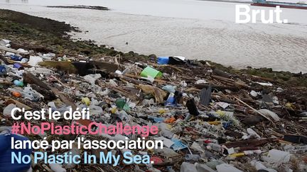 Ce mercredi 22 mai, le célèbre No Plastic Challenge a été lancé. Chaque jour, les internautes auront un défi à relever pour limiter leur consommation de plastique.