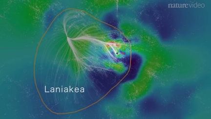 Capture d'&eacute;cran de la vid&eacute;o de pr&eacute;sentation de Laniakea par "Nature". (NATURE)