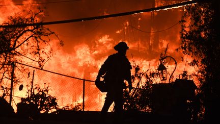 Un pompier lors de l'incendie de Woosley, le 9 novembre 2018 à Malibu, en Californie (Etats-Unis). (ROBYN BECK / AFP)