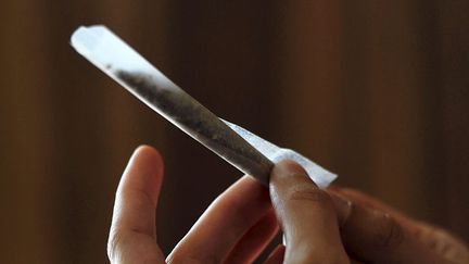 &nbsp; (La légalisation du cannabis, solution pour lutter contre le terrorisme, selon un élu LR © Maxppp)