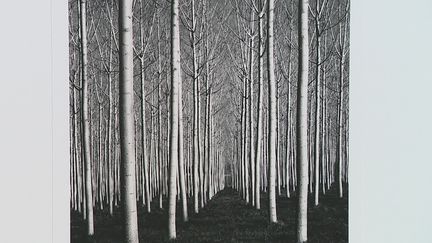 Exposition photo Michael Kenna