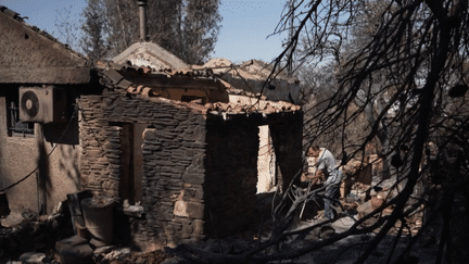 Incendies en Grèce : de retour dans leurs maisons, les habitants constatent les dégâts (France 2)