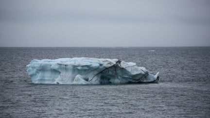 Un iceberg dans l'Arctique russe, le 19 août 2019. (PAVEL LVOV / SPUTNIK / AFP)