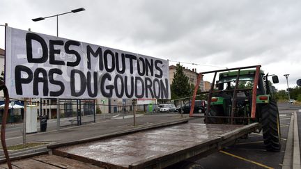 Une manifestation d'opposants au projet d'A45 entre Lyon et Saint-Etienne, en septembre 2016 à Saint-Chamond (Loire).&nbsp; (MAXPPP)